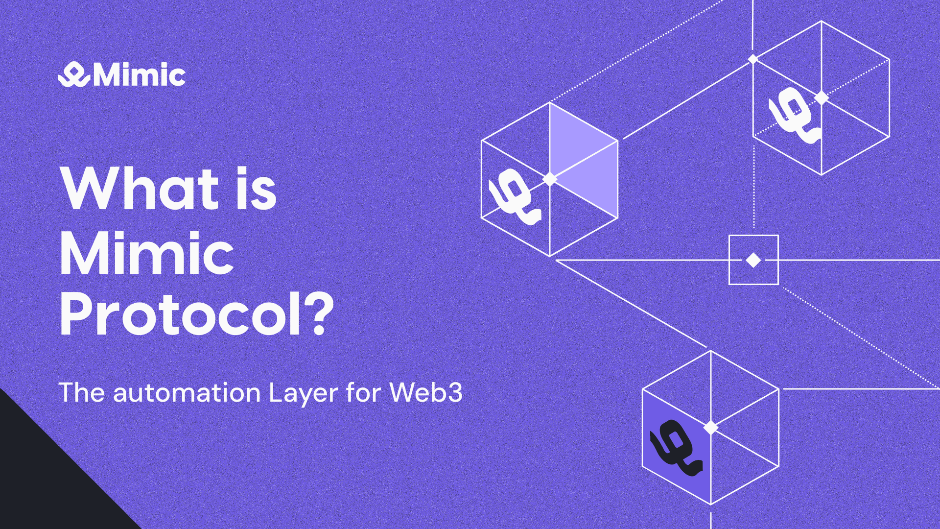 What is Mimic Protocol?